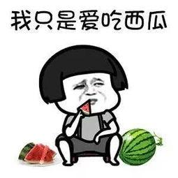 娱乐吃瓜君你们是谁