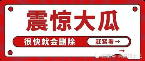 娱乐吃瓜八卦的网名大全